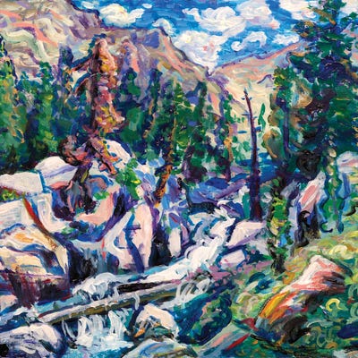 Boreal Oasis by Jeff Johnson art print