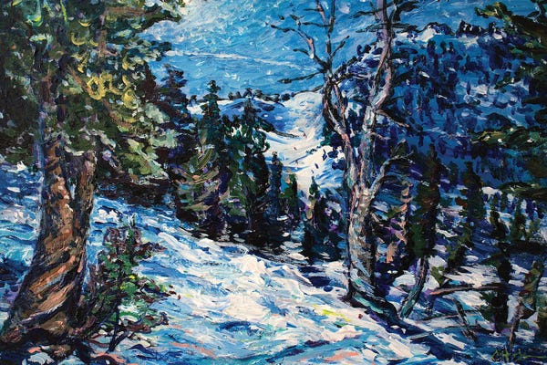 Pine Trees: Mammoth Mountain by Jeff Johnson
