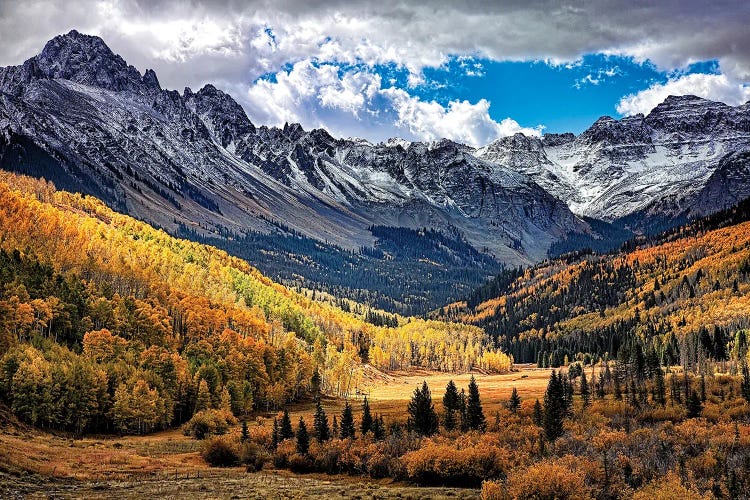 Valley Of Gold by Janet Fikar wall art