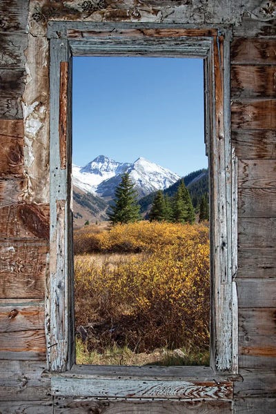 Nature's Window by Janet Fikar framed wall art