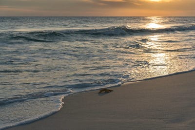 Emerald Coast I by Janet Fikar multi panel art