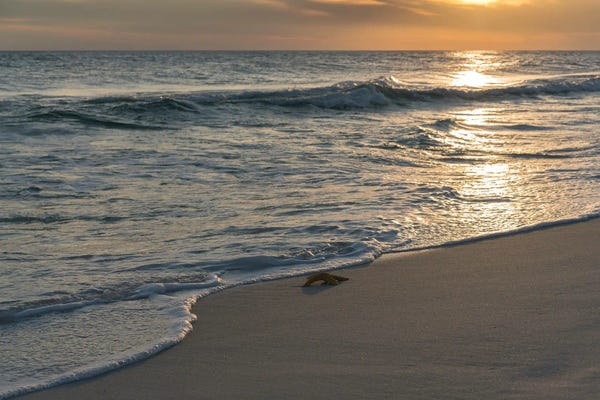 Janet Fikar: Emerald Coast I by Janet Fikar