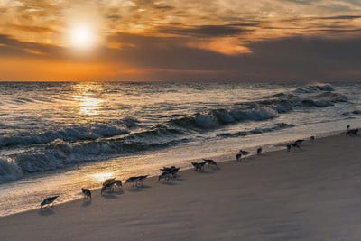 Emerald Coast II by Janet Fikar multi panel art