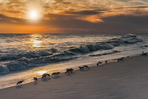 Janet Fikar: Emerald Coast II by Janet Fikar