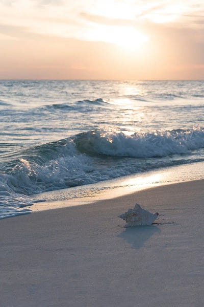 Emerald Coast IV by Janet Fikar framed wall art