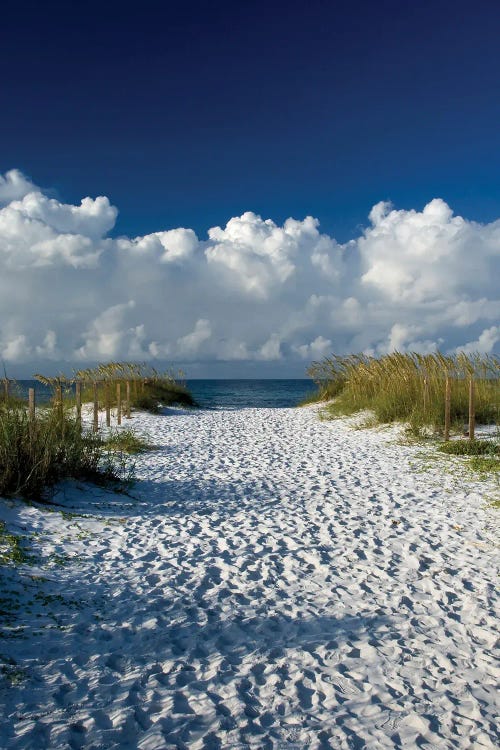 Pathway To Heaven by Janet Fikar wall art