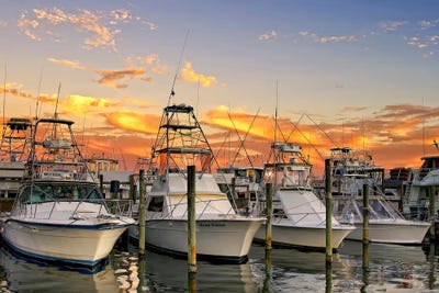 Destin Harbor by Janet Fikar art print