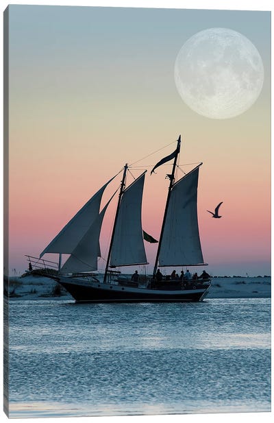 Sunset Sail Canvas Art Print - Janet Fikar