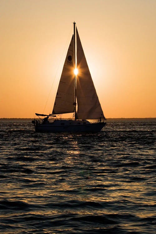 Peeking Through The Sails