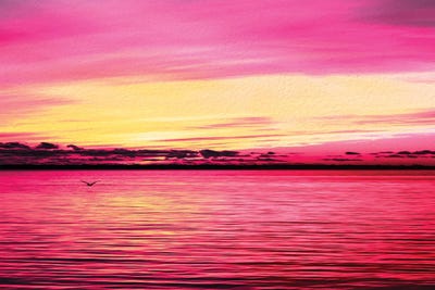 Choctawhatchee Bay by Janet Fikar multi panel art