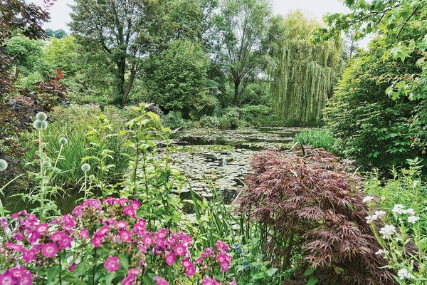 Ponds: Giverny Gardens III by Janet Fikar