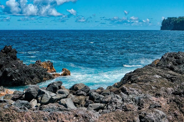 Janet Fikar: Hawaiian Lava Rocks by Janet Fikar