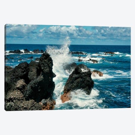Hawaiian Lava Rocks III Canvas Print #JFK143} by Janet Fikar Canvas Art Print