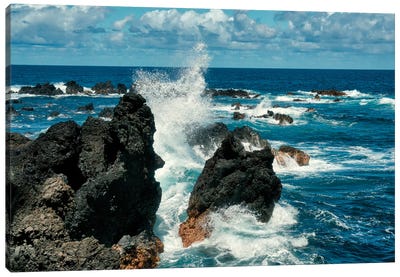 Hawaiian Lava Rocks III Canvas Art Print - Janet Fikar