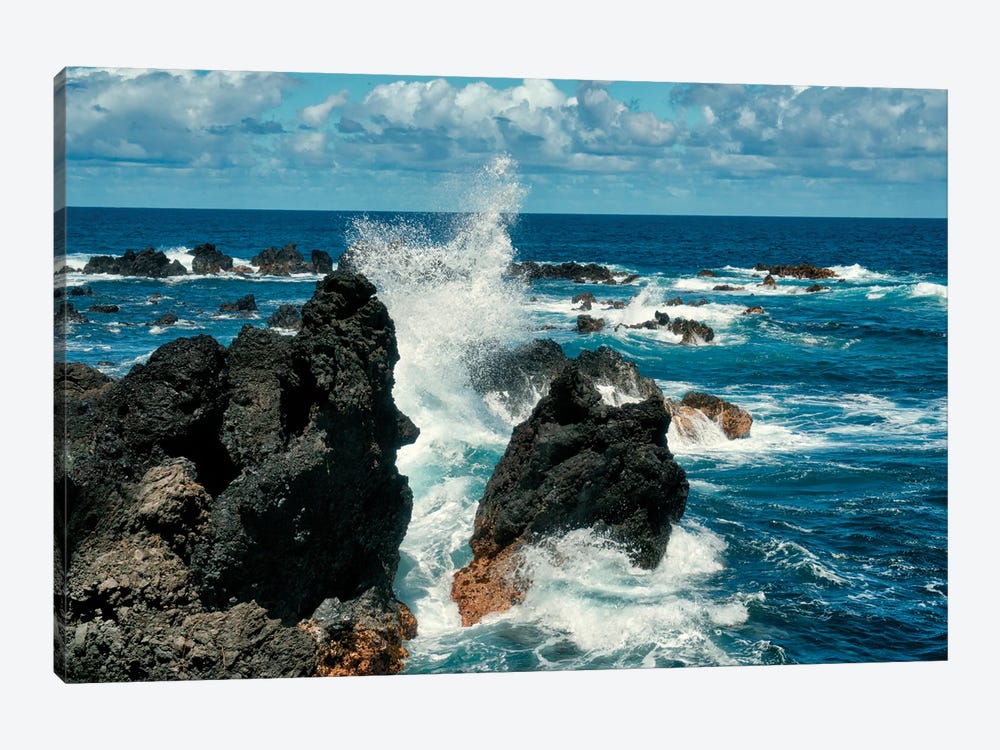 Hawaiian Lava Rocks III by Janet Fikar 1-piece Canvas Print