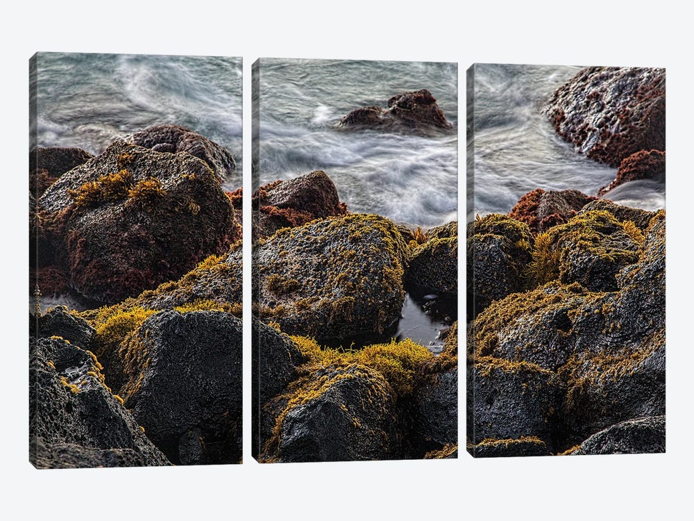Lava Rock Moss by Janet Fikar 3-piece Canvas Print