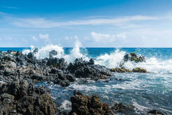 Rocky Beaches: High Tide by Janet Fikar