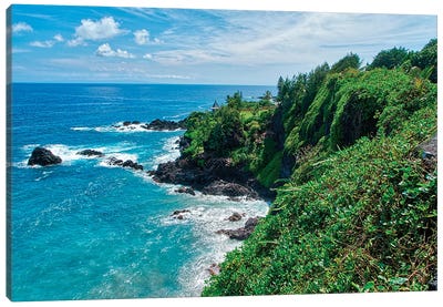 Hawaiian Coastline Canvas Art Print - Hawaii Art