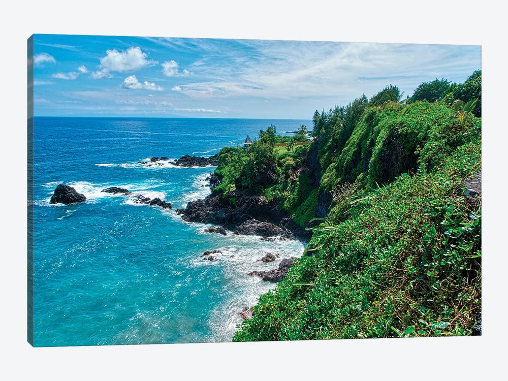 Hawaiian Coastline by Janet Fikar 1-piece Art Print