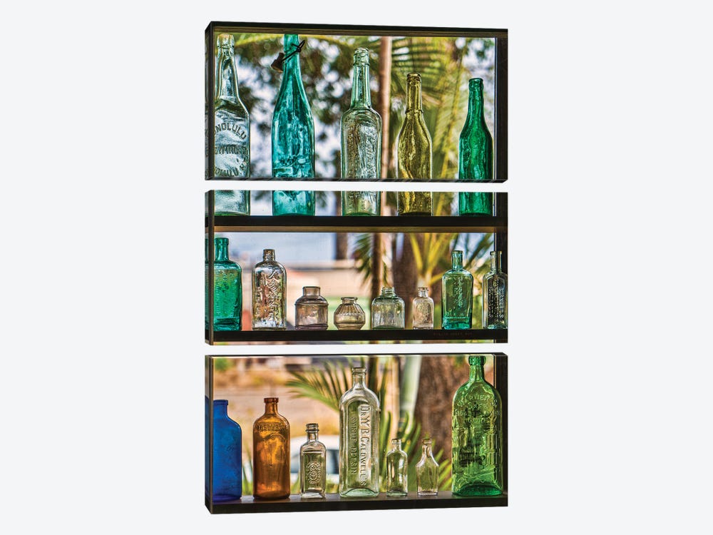 Bottle Collection by Janet Fikar 3-piece Canvas Artwork
