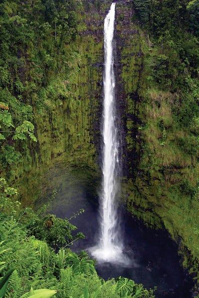Janet Fikar: Waterfall Plunge by Janet Fikar