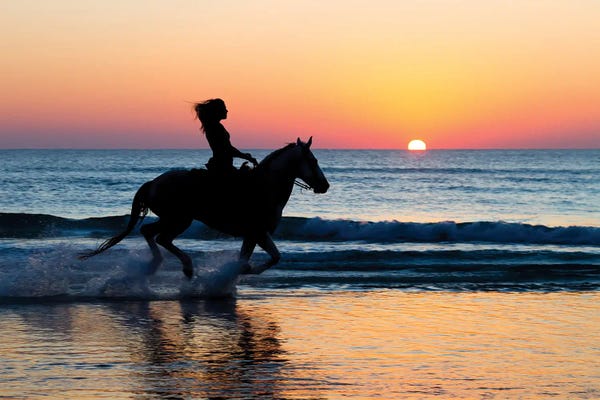 Janet Fikar: Early Morning Workout by Janet Fikar