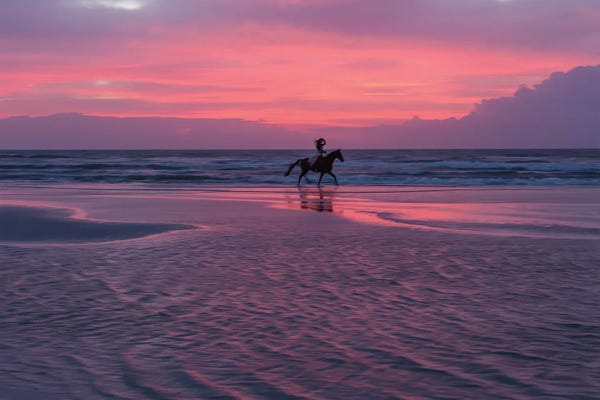 Janet Fikar: Horse And Rider On The Beach by Janet Fikar