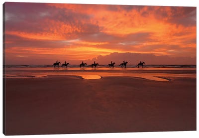Horses On The Beach Canvas Art Print - Janet Fikar