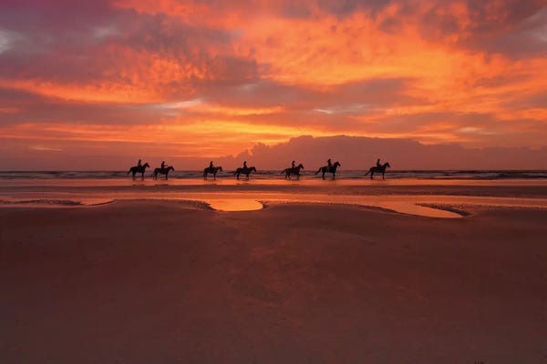 Horses On The Beach