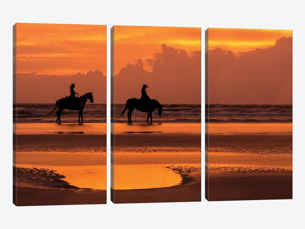 Horse And Rider On The Beach II by Janet Fikar 3-piece Canvas Art