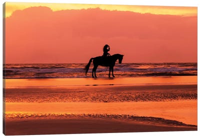 Horse And Rider On The Beach III Canvas Art Print - Janet Fikar