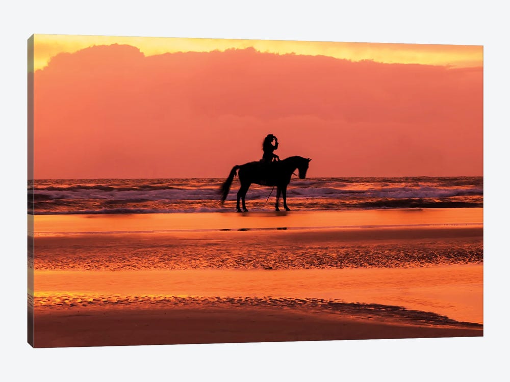 Horse And Rider On The Beach III by Janet Fikar 1-piece Art Print
