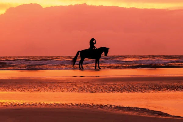 Janet Fikar: Horse And Rider On The Beach III by Janet Fikar
