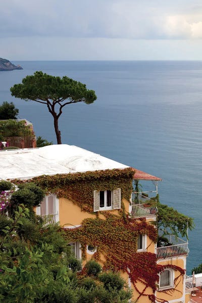 Janet Fikar: Perched by Janet Fikar