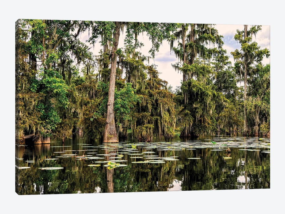 Cypress Swamp V by Janet Fikar 1-piece Canvas Art Print