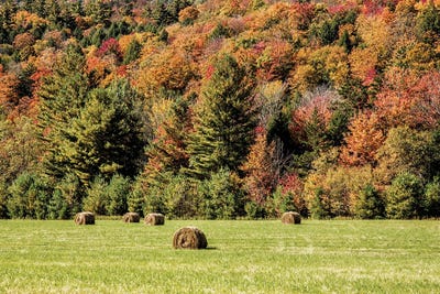 Hay Bales In Vermont by Janet Fikar framed canvas print