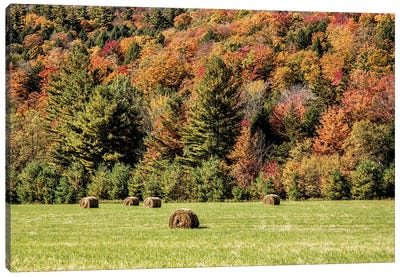 Hay Bales In Vermont Canvas Art Print - Janet Fikar