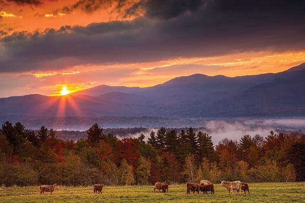 Janet Fikar: Vermont Early Riser by Janet Fikar