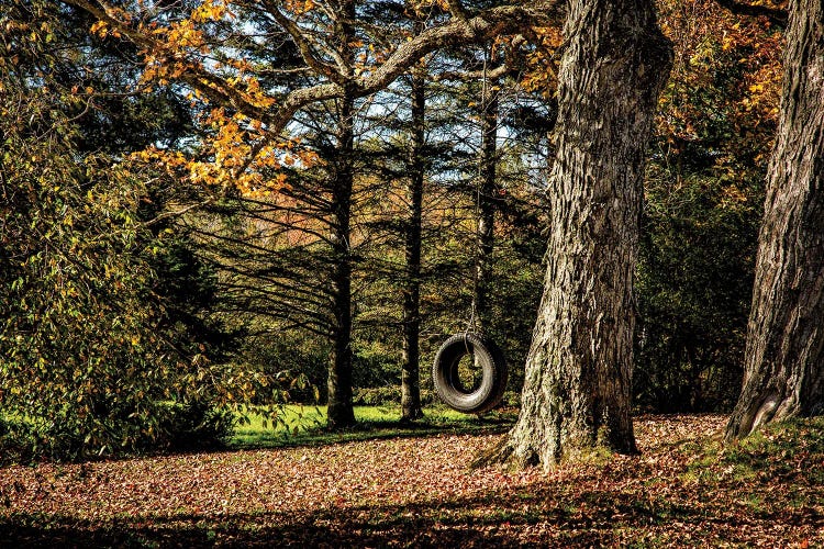 Tire Swing Country