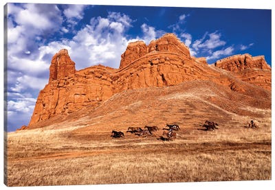 Out West Canvas Art Print - Wyoming Art