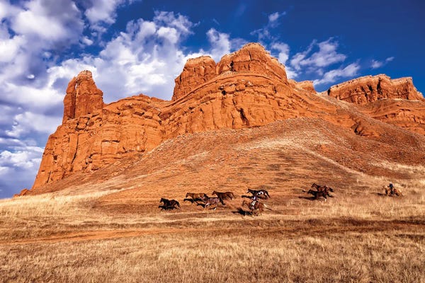 Wyoming: Out West by Janet Fikar