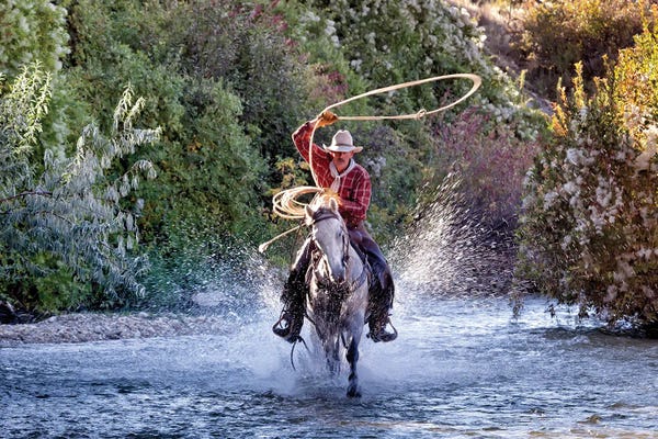 Janet Fikar: Wet Ride by Janet Fikar