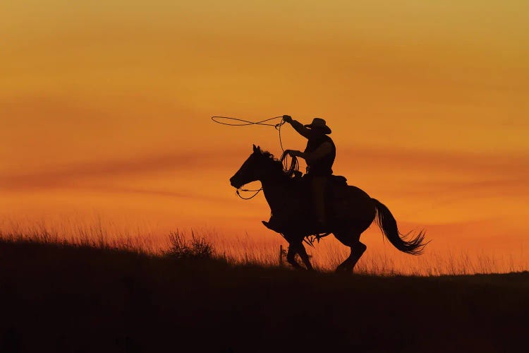 Cowboy Silhouette II