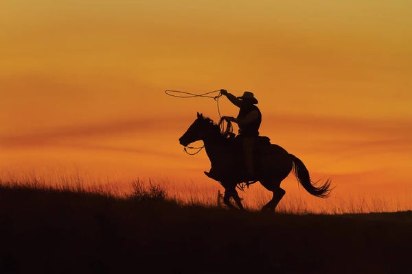 Action Shots: Cowboy Silhouette II by Janet Fikar