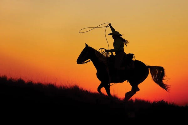 Western Décor: Cowboy Silhouette III by Janet Fikar