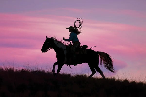 Action Shots: Cowboy Silhouette IV by Janet Fikar