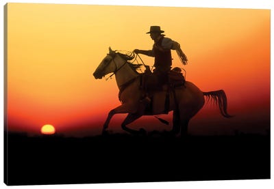 Cowboy Silhouette V Canvas Art Print - Janet Fikar