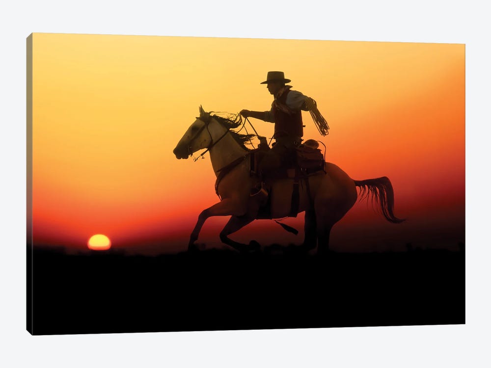 Cowboy Silhouette V by Janet Fikar 1-piece Canvas Artwork