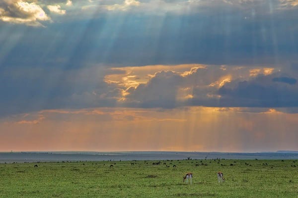 Janet Fikar: Storm Rays by Janet Fikar