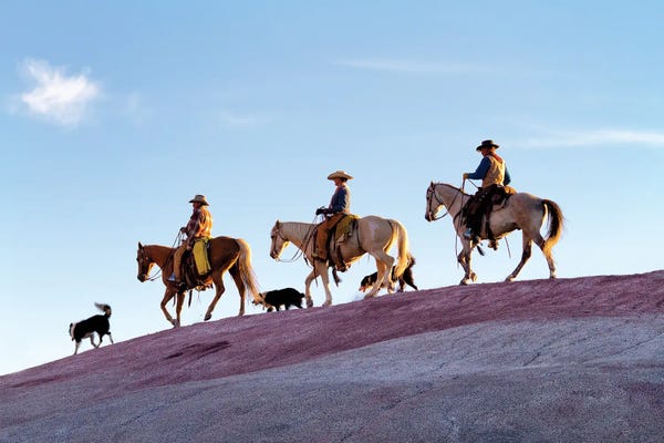 Janet Fikar: Painted Hills Of Wyoming by Janet Fikar
